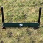 View Pointer Plank Jump