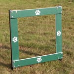 View Westie Window Jump