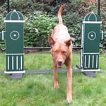 View Eco Adjustable Jump Bar