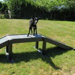 View Eco Dog Walk Ramp (Small)