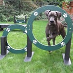 View Eco Double Hoop Jump