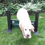 View Eco Double Wall Jump