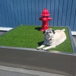 View Rover Relief Area