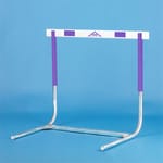 View High School Welded Rocker Hurdle 