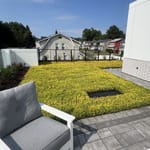 View Green Living Roof