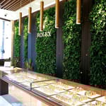 View Plug and Play Living Wall - Wall Mounted