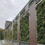View Green Living Wall