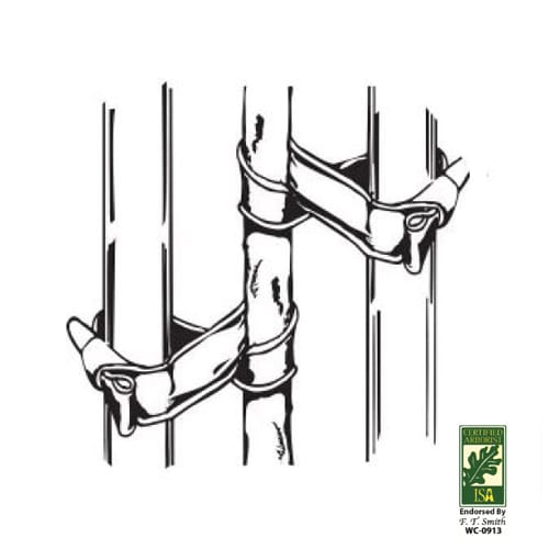 Century Universal Tree Ties preview 1