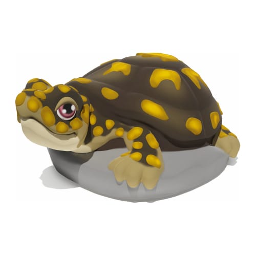 7027 - Box Turtle
