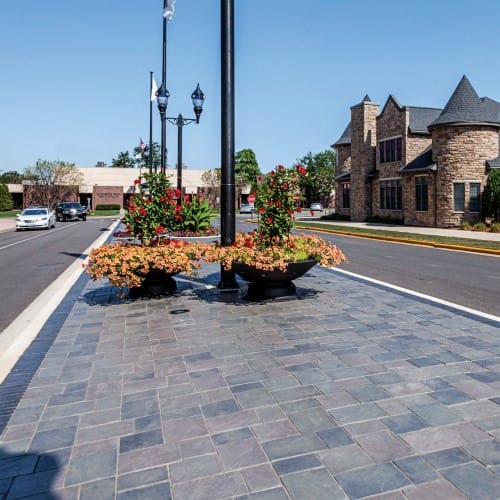 Richcliff® preview 2