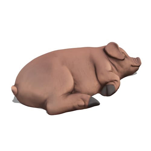 Sleeping Pig Climber