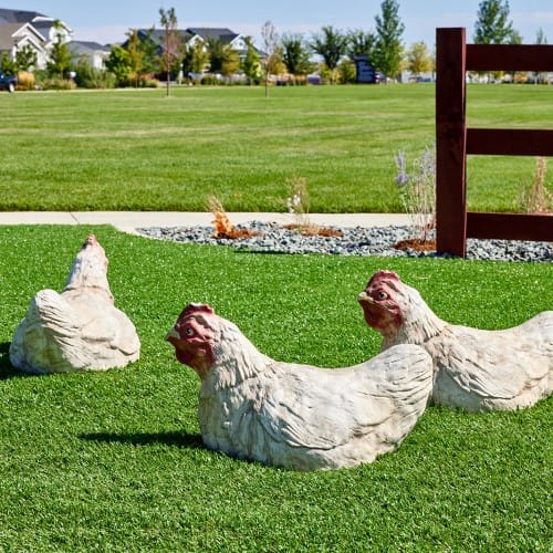 Chicken Stepper preview 2