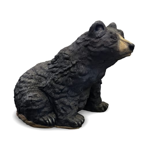Bear Climber
