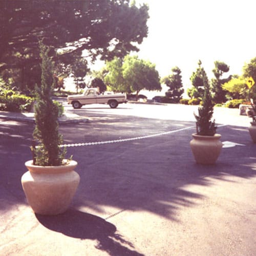 Duarte / Planters & Vases