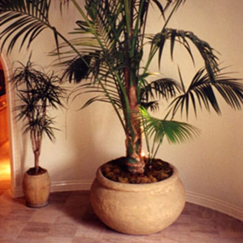 Petra / Planters & Vases