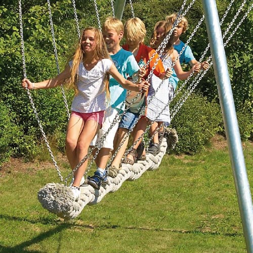 Viking Swing 3.0 preview 1