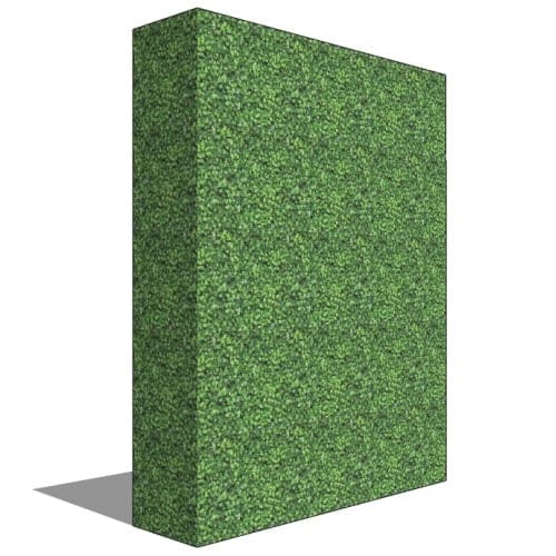 Boxwood Hedge