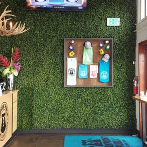 Premium Living Walls