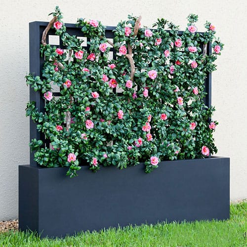 Trellises