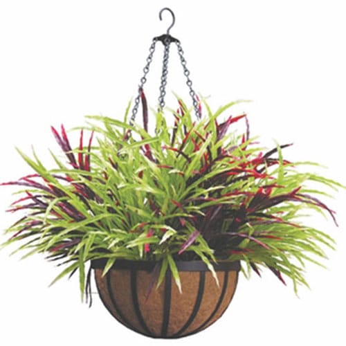 Hanging Basket With Flowers