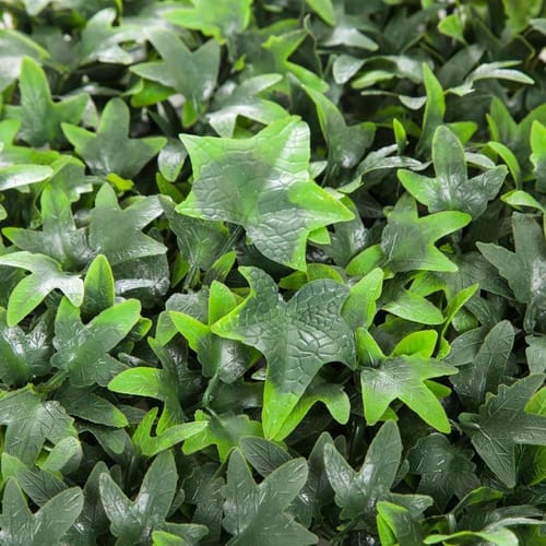 12" x 12" English Ivy Mat- UV Outdoor Rated or Fire Retardant for Signage