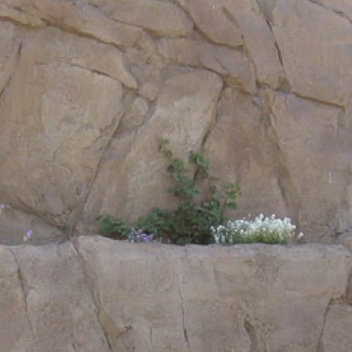 Escondido Granite Finish