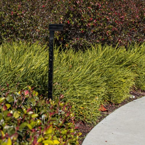 Martillo 19" Pathlight - Single Optic (PTA321103) preview 2