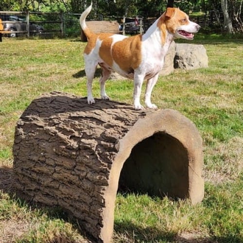 Terrier Tunnel