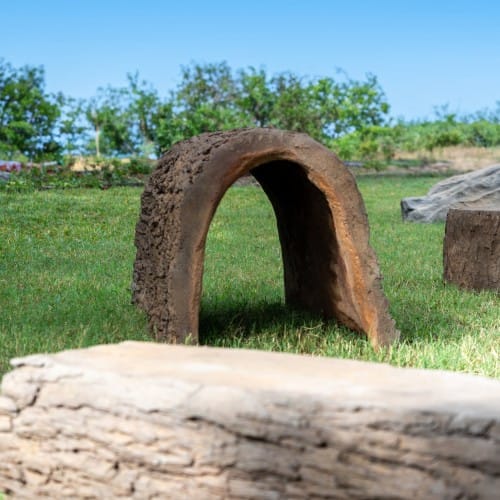 Dog Through the Log preview 3