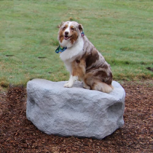 Small Boulder preview 2