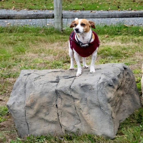 Small Boulder preview 3