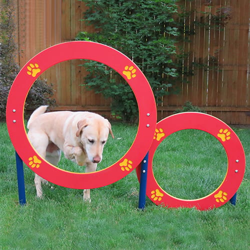 Double Hoop Jump preview 1