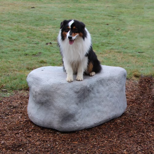 Large Boulder preview 2