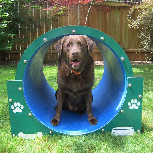 Bow Wow Barrel™