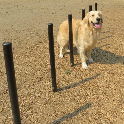 Flexible Weave Poles preview 1