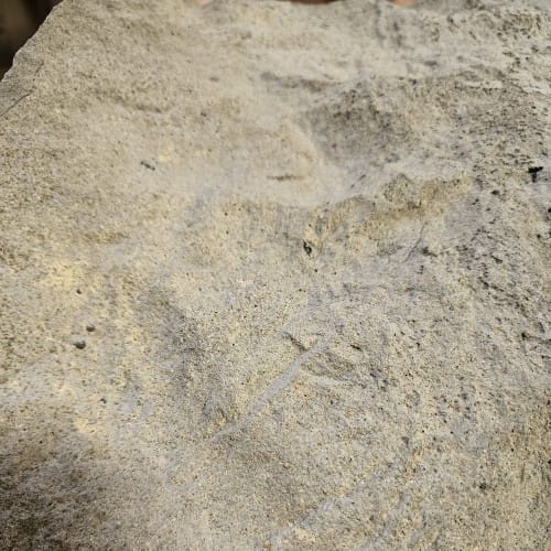 NatureDog™ Canine Crossing preview 3