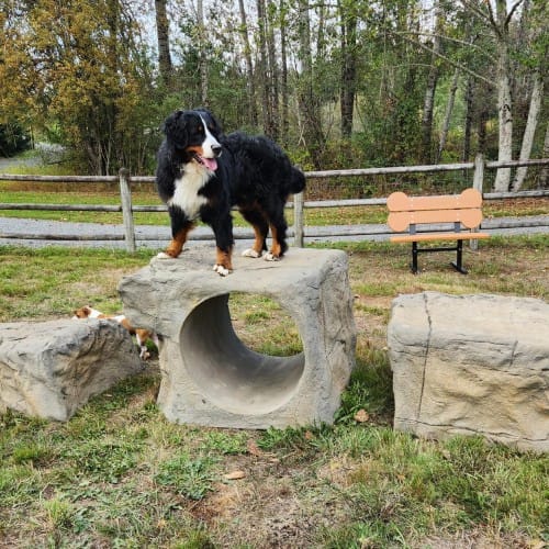 NatureDog™ Boulder Run Set preview 2