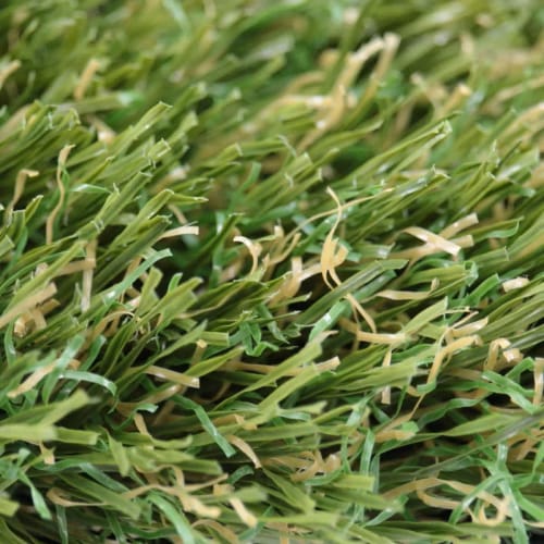 Summer Rye Landscape Turf preview 2
