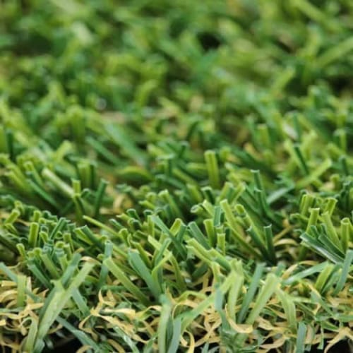 Pet Play Pet Turf preview 2