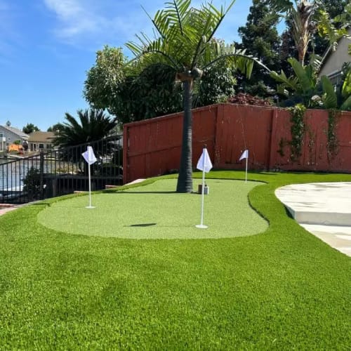 Heavenly 70 Landscape Turf