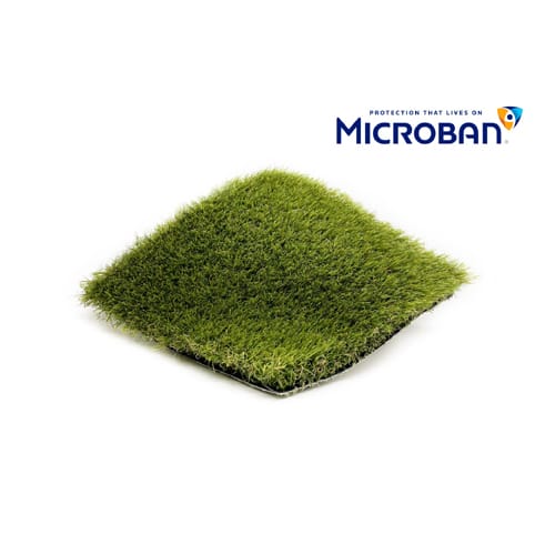 Sun Beam Turf