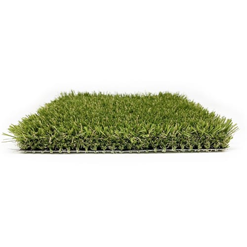 Kingsley Turf preview 2