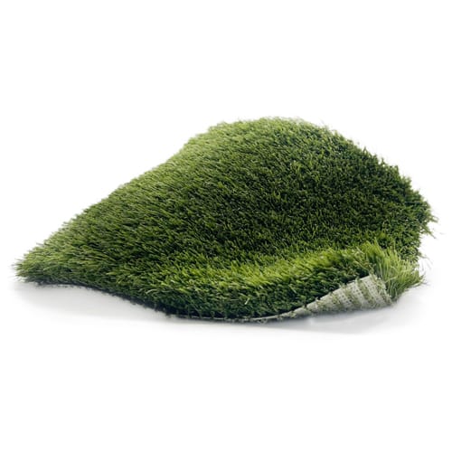 Pacific Dunes Turf