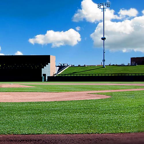 Stabilizer Ballyard Infield Mix