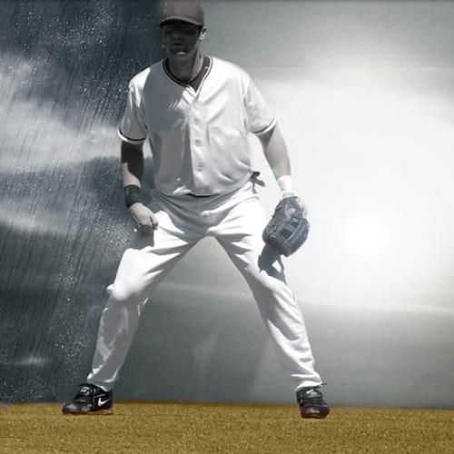Stabilizer Gold Infield Mix