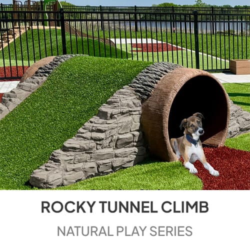 Rocky Mountain Tunnel