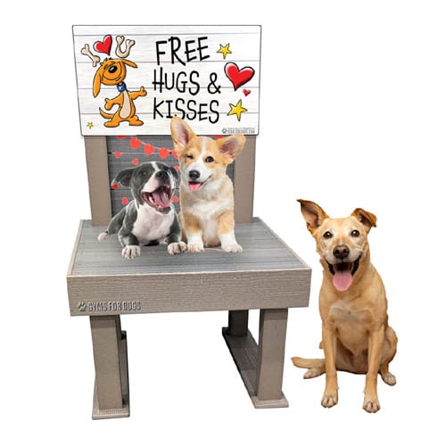 The Kissing Booth preview 3