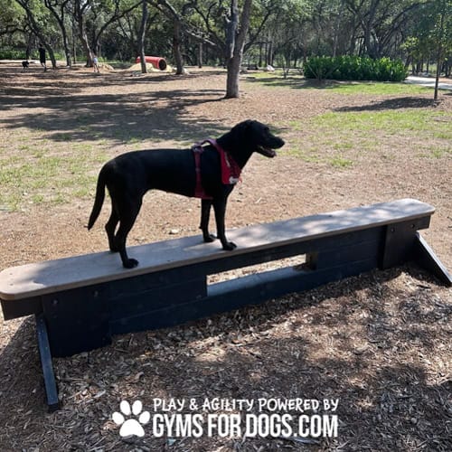 Jump Balance Beam preview 1