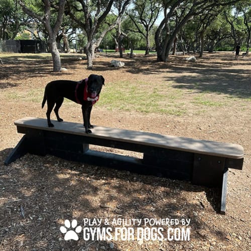 Jump Balance Beam preview 2
