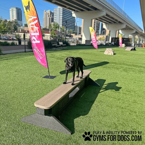 Jump Balance Beam preview 12